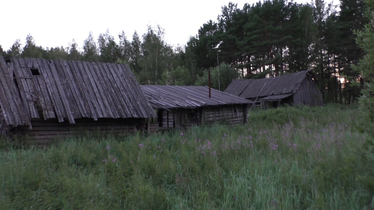 д. Пантрашкина